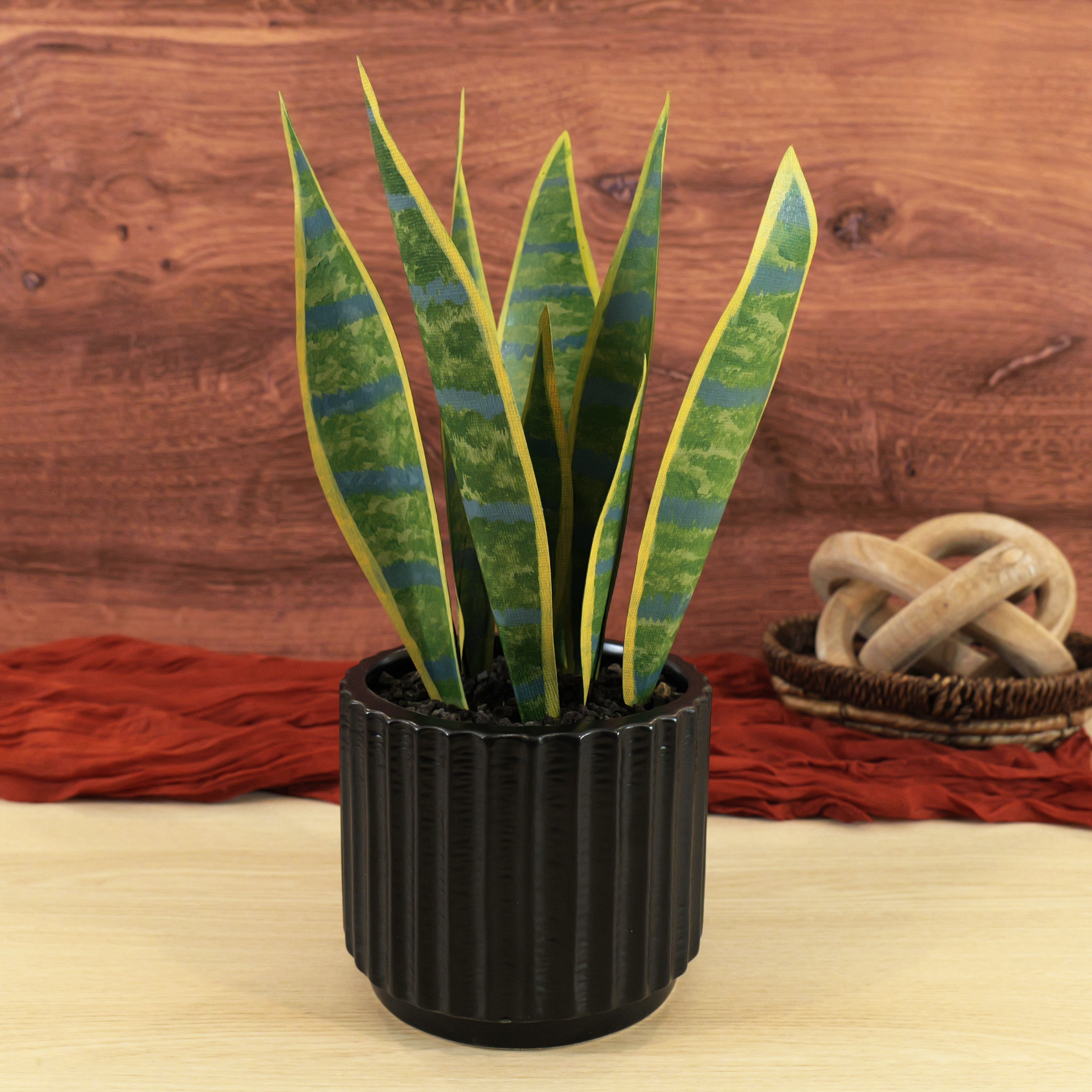 Sculpted Paper Snake Plant